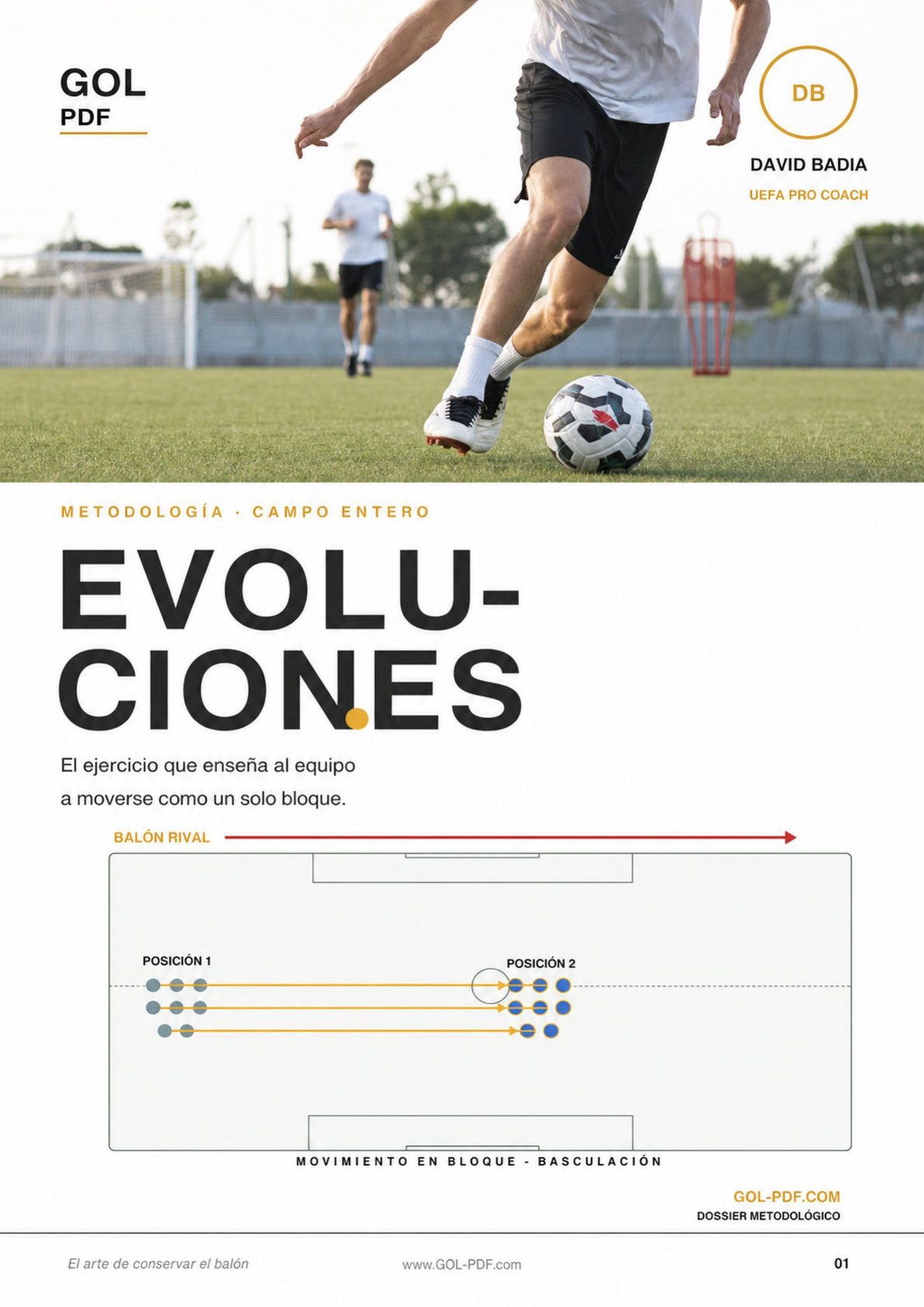 Evoluciones