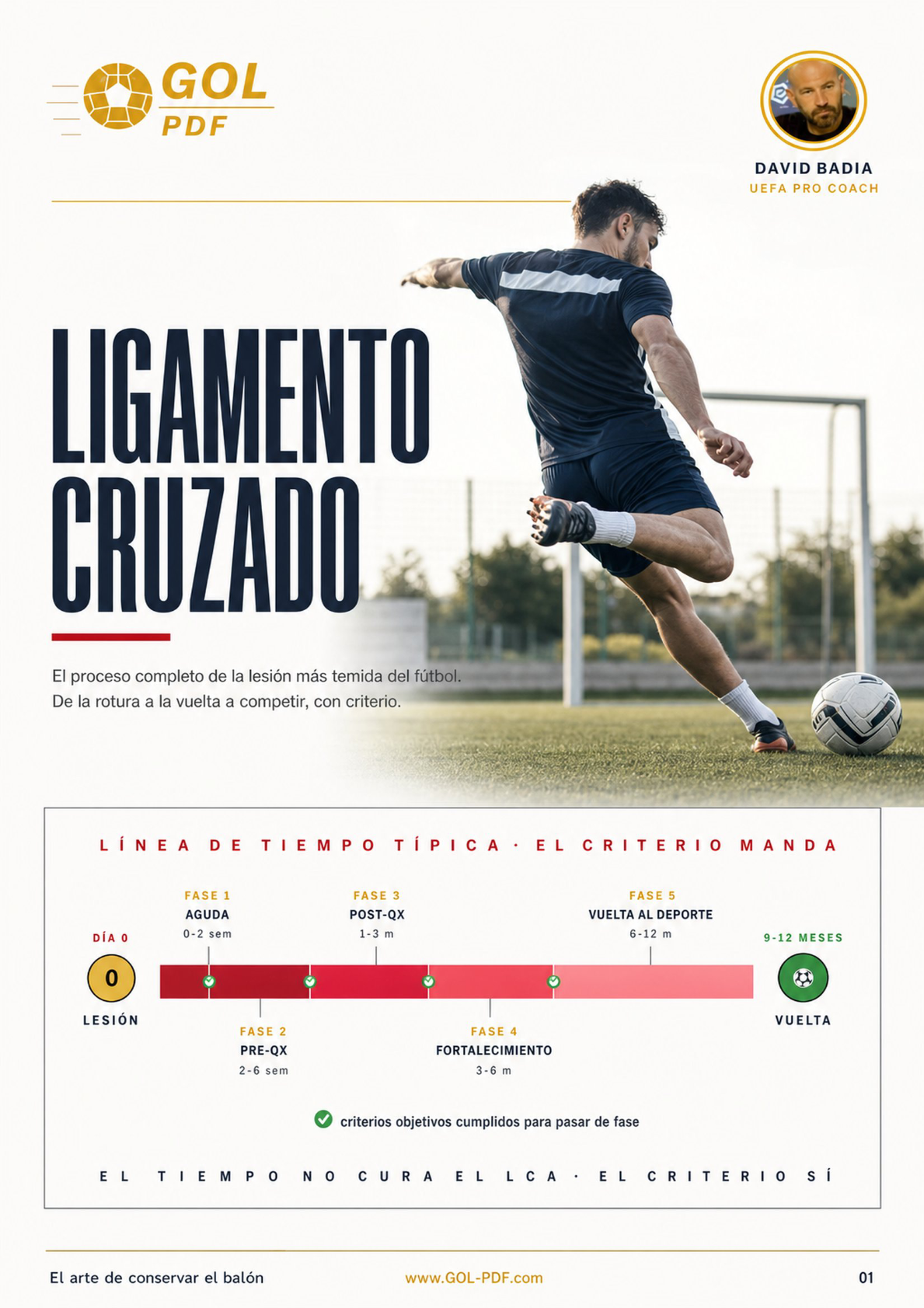 Ligamento cruzado anterior (LCA)