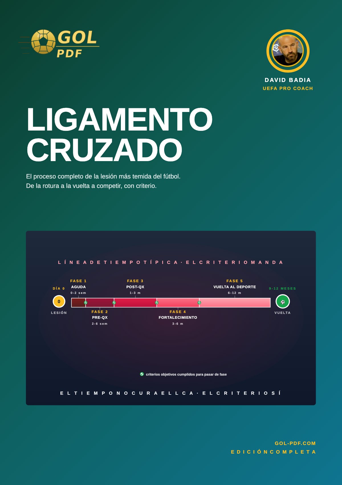 Ligamento cruzado anterior (LCA)